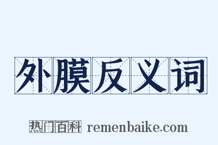 外膜反义词是什么意思的图片
